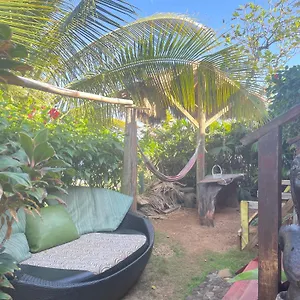https://villa-rasta-ocean-view-bungalows.greaterantilleshotels.net